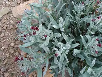 Description de cette image, également commentée ci-après