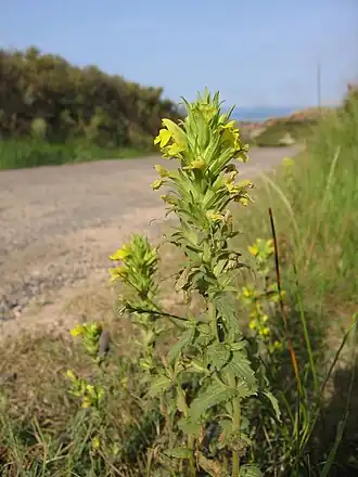 Description de cette image, également commentée ci-après