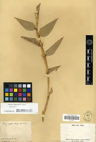 Description de cette image, également commentée ci-après