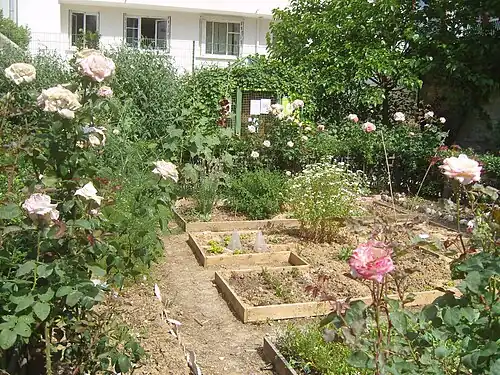 Un jardin partagé borde la pelouse du Jardin Paul-Nizan dans le 13e&nbsp;arrondissement de Paris.