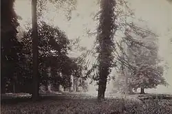Photographie de 1923 montrant le temple envahi par la végétation.