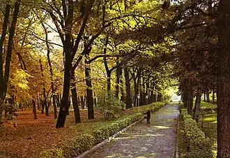 Une allée du parc en automne.