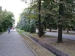 Une autre allée du parc.