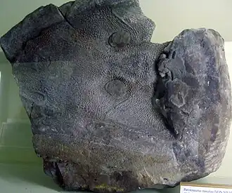 Description de cette image, également commentée ci-après