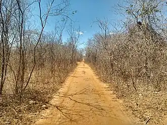 Baraúna (Rio Grande do Norte)