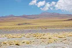 Vue depuis la route menant de Fiambalá au col.