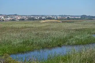 La Barrinha de Esmoriz.