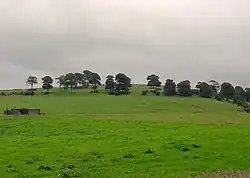 La colline de :Cnoc Áine&nbsp;(en), traditionnellement associée à la déesse.