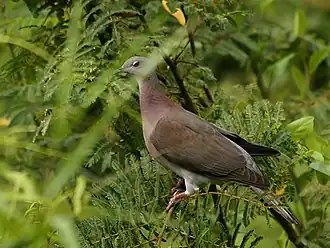 Description de cette image, également commentée ci-après