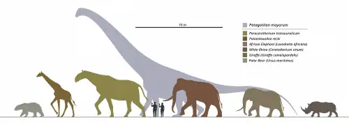 Diagramme comparant la taille de divers grands animaux aussi bien vivants comme éteints, comparée à un couple d'êtres humains (montrés en noir).