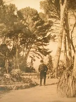 Un homme en costume sombre et chapeau dans un parc avec de grands pins.