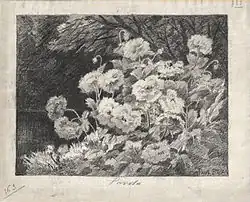 Pavots, crayon. Dessin publié dans le catalogue illustré du Salon des Artistes Français de 1889, coll. privée