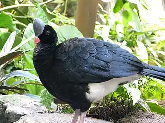 Description de cette image, également commentée ci-après