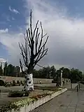 Arbre mémorial et (à l'arrière) le Musée Pawiak dans ce qui reste des fondations de la prison