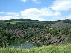 Paysage de bruyères et de conifères autour du lac du barrage de Couzon dans le sud-est.
