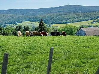 Image illustrative de l’article Beauce (Québec)