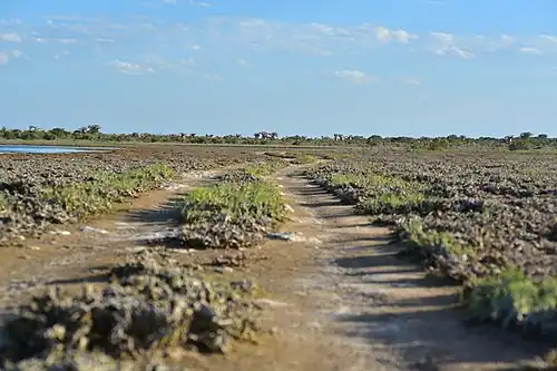 Paysage avec zone inondable à Andavadoaka, région Atsimo-Andrefana, Madagascar