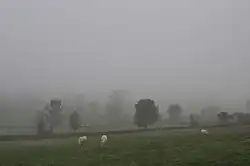 La photographie couleur montre un paysage dans le brouillard. Le vert des prés se fond dans un dégradé vers le gris du ciel. Dans cette trame floue apparaissent les taches sombres des arbres et haies et les taches claires de vaches blanches.
