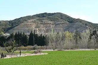 Image illustrative de l’article Pays d'Arles