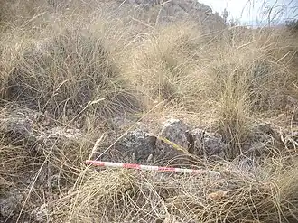 Vestiges de construction (Peñas de Béjar)