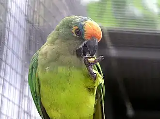 Description de cette image, également commentée ci-après