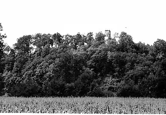 Image illustrative de l’article Château de Pechrodil