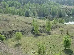 Le terril no&nbsp;143.