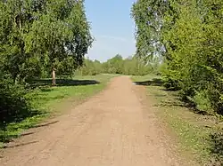 Le terril no&nbsp;253.