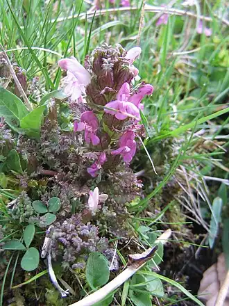 Description de cette image, également commentée ci-après