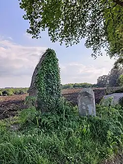 Pedrafita de Andavao II