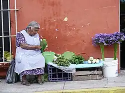 Marchande d'opuntia à Xalapa.
