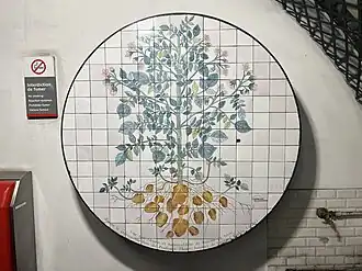 Mosaïque représentant un plant de pommes de terre.