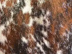 Détail robe bringée