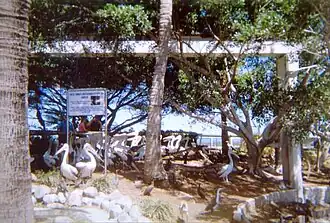 Seabird Rehabilitation Aviary