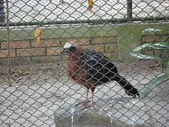 Description de cette image, également commentée ci-après