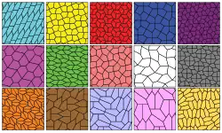 Les 15 pavages pentagonaux connus en 2015.