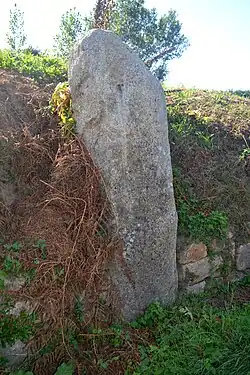 Image illustrative de l’article Menhir de Kermarquer