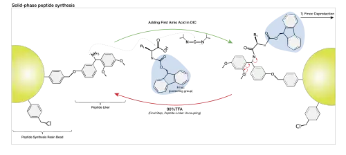 Table of Amino Acids.