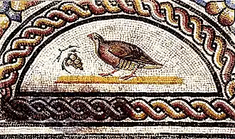 Mosaïque de la maison des cratères et des oiseaux