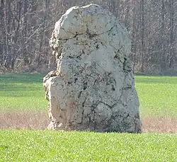 Menhir de la grande roche