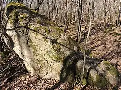 Menhir du Bois de Forville