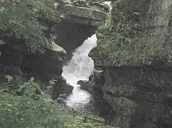Pertes de l'Ain, près de Bourg-en-Sirod.