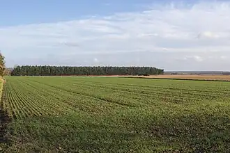 Terrain agricole dans la plaine de la Bière, au sud-est de la commune.