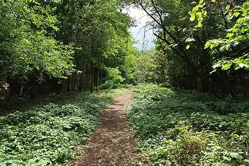 Promenade de la Petite Ceinture.