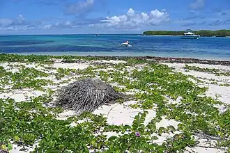 Débarquement sur Terre-de-Bas