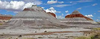 Vue en direction du nord-ouest depuis la Petrified Forest Road.