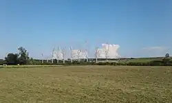 bord de Roanne : peupliers empoisonnés par la rupture de canalisation de saumure en 2017