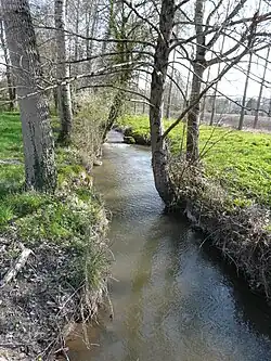 La Peychay au lieu-dit le Grand Champ, en limite de Saint-Pardoux-de-Drône (à gauche) et de Saint-Martin-de-Ribérac. Vue vers l'amont.