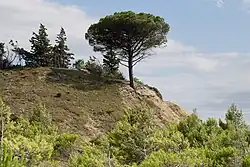 Description de cette image, également commentée ci-après