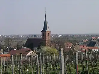 Forst an der Weinstraße